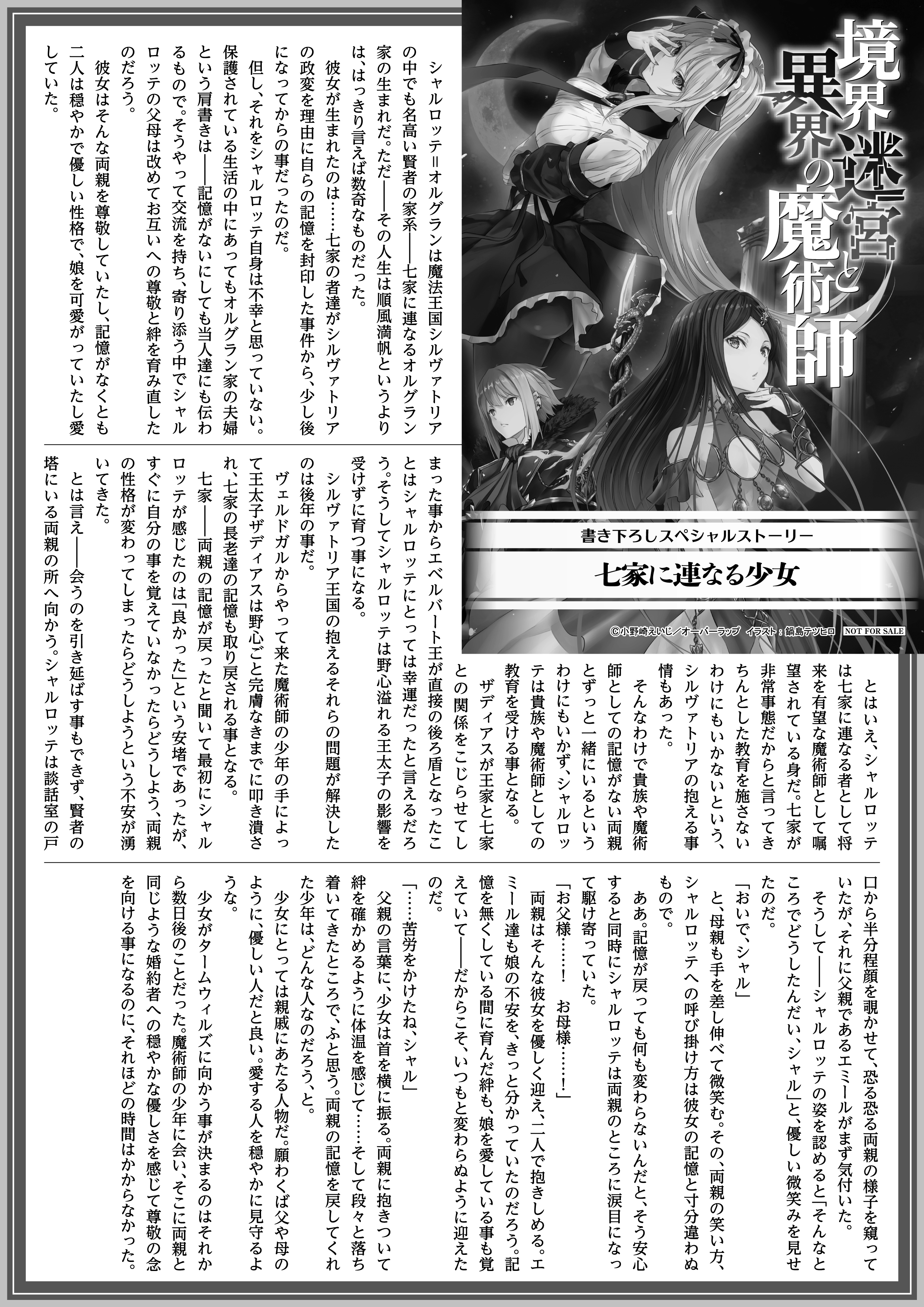 【ノベルス】「境界迷宮と異界の魔術師 11」A4SSペーパー